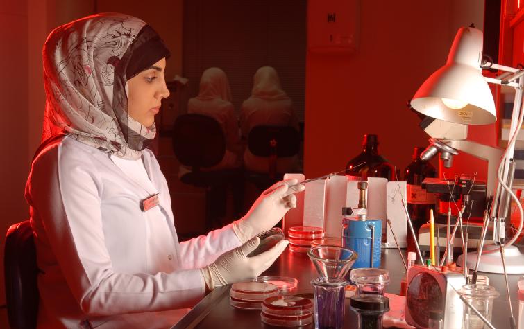 College of Medicine 